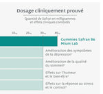 Charger l&#39;image dans la galerie, GUMMIES SAFRAN - ANTI STRESS
